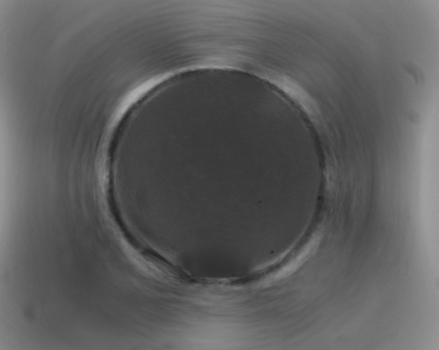 X0000115481077200911061213