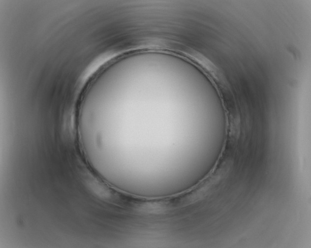 X0000115481078200911061213