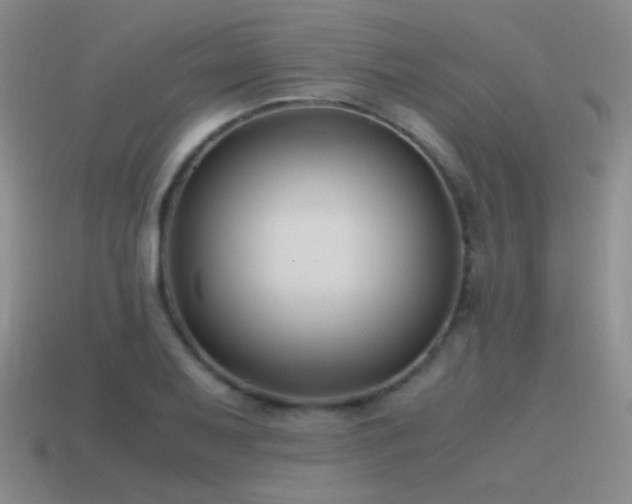 X0000115481079200911061213