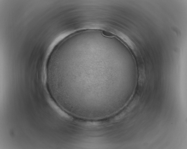 X0000115481080200911061213