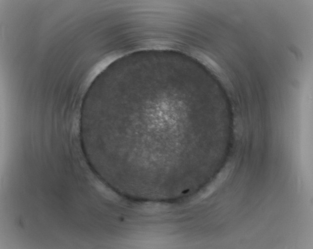 X0000115481081200911061213