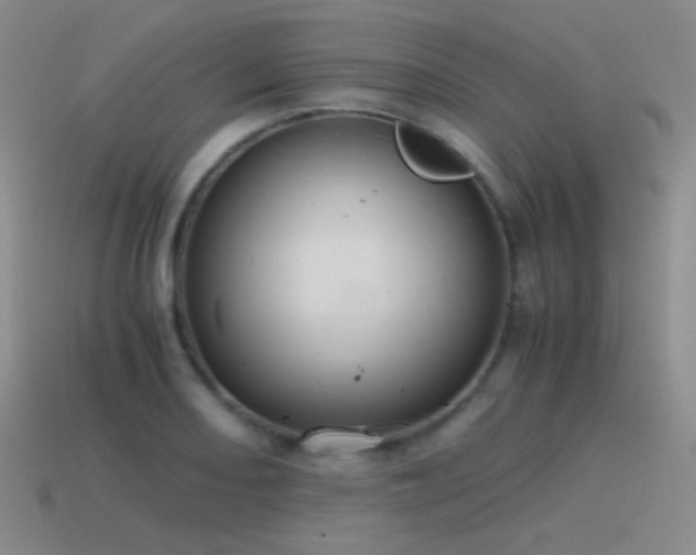 X0000115481082200911061213