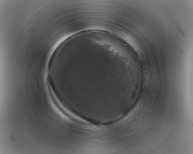 X0000115481084200911061212