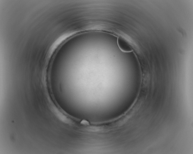 X0000115481086200911061212