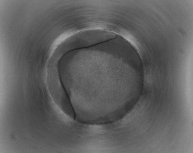 X0000115481088200911061212