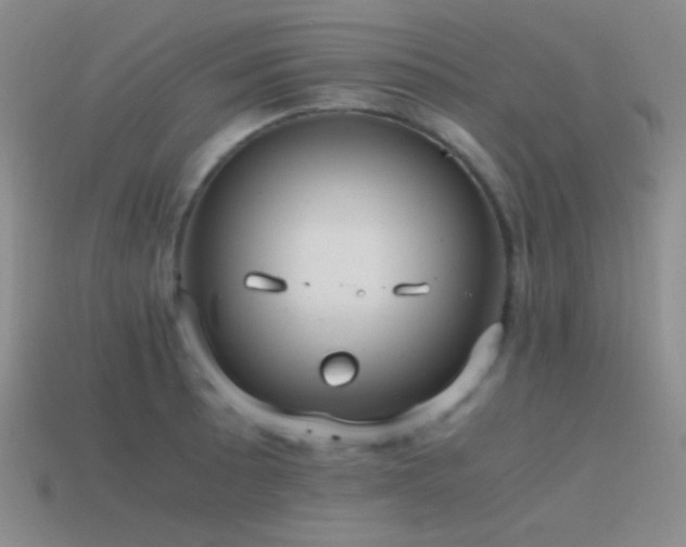 X0000115481089200911061212