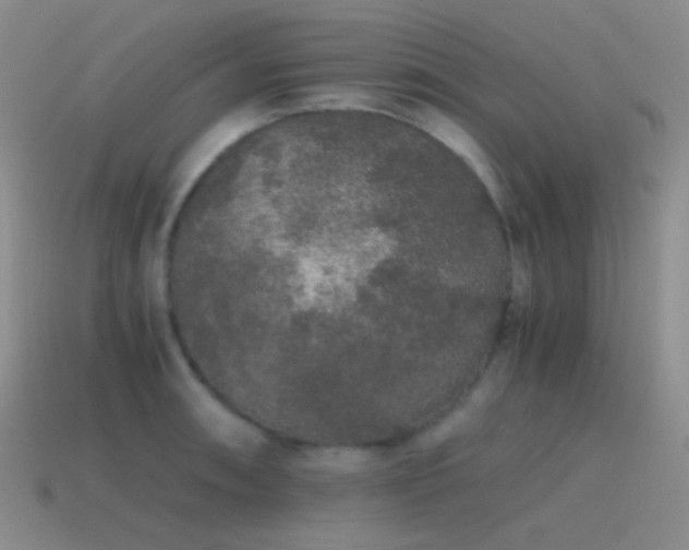 X0000115481090200911061212