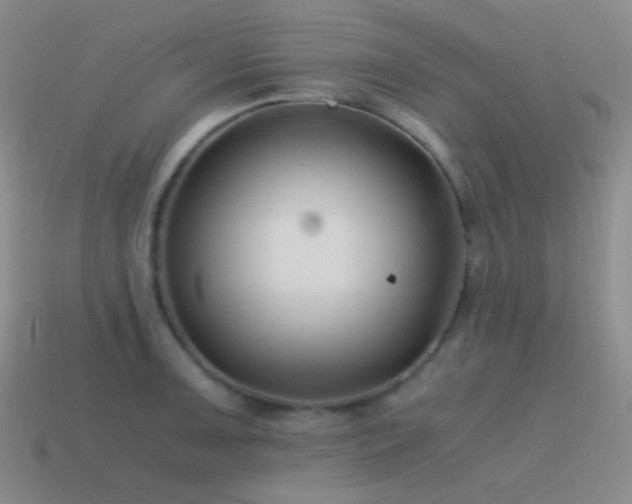 X0000115481091200911061212