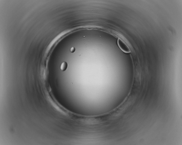 X0000115481092200911061212