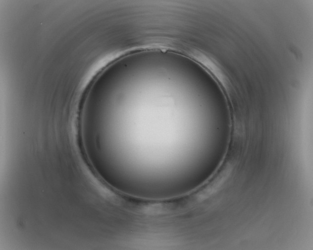 X0000115481093200911061212