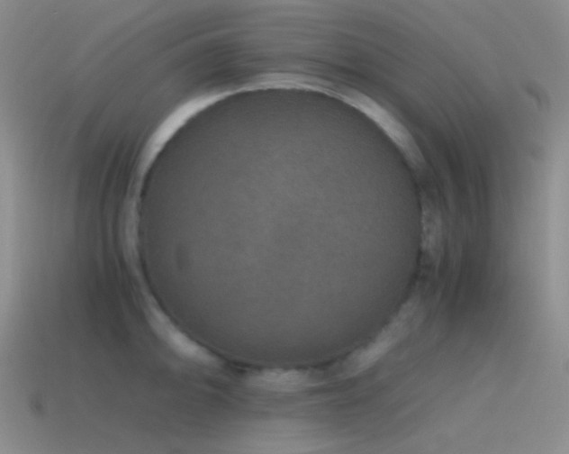 X0000115481094200911061212