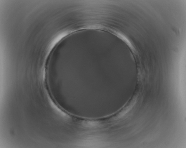 X0000115481095200911061212