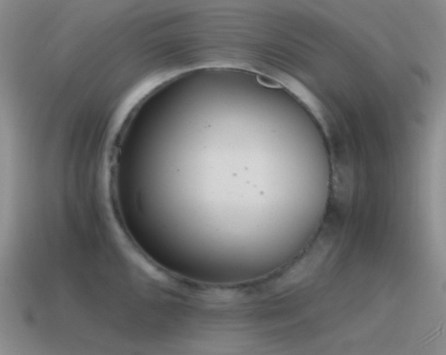 X0000115481096200911061212
