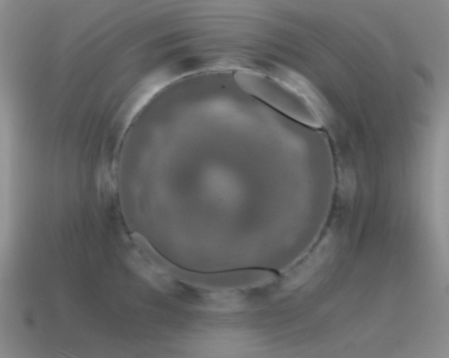X0000115481097200911061212