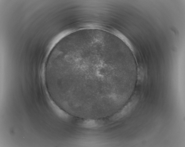 X0000115481098200911061212