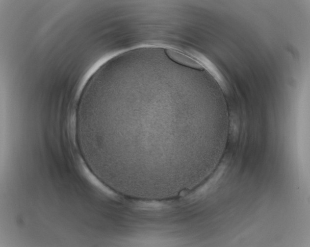 X0000115481100200911061212