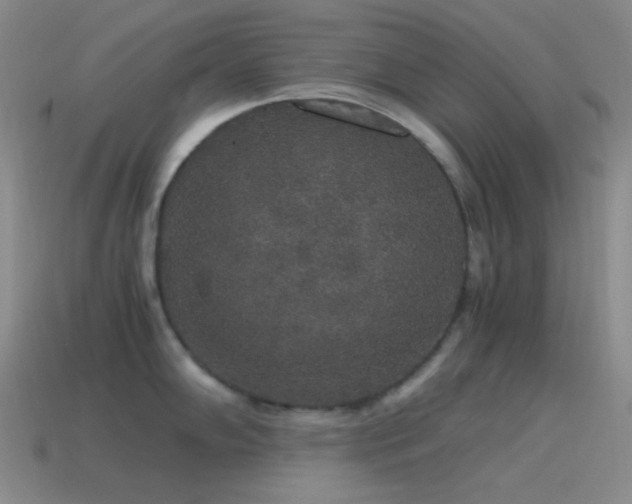 X0000115481102200911061212