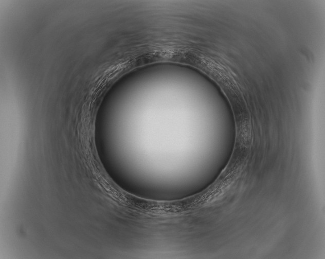 X0000115481105200911061212