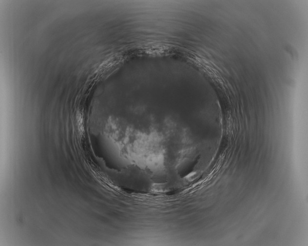 X0000115481106200911061212