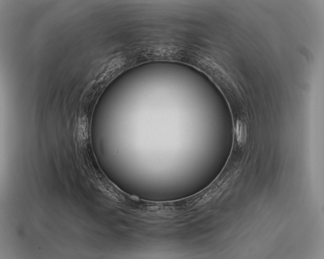 X0000115481107200911061212
