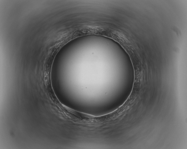 X0000115481109200911061212