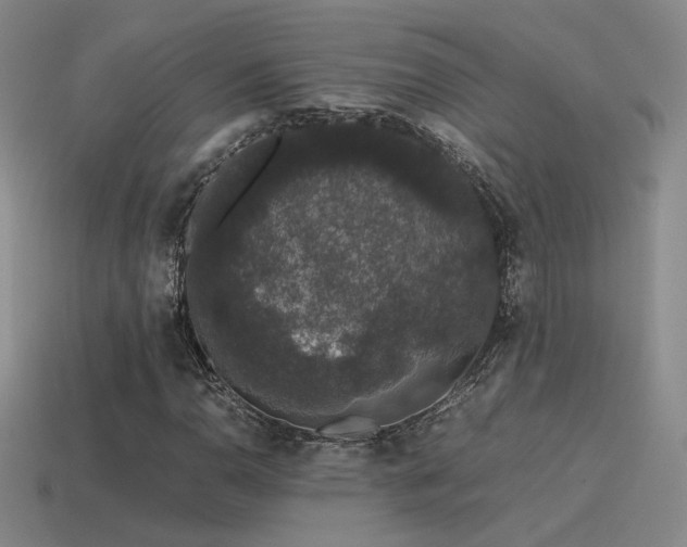 X0000115481110200911061212