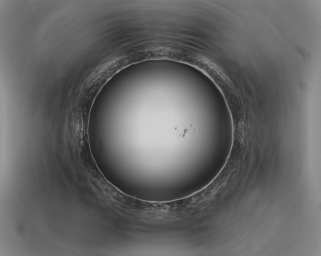 X0000115481111200911061212
