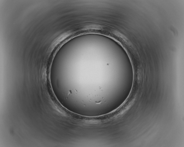 X0000115481113200911061212