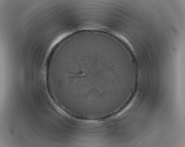 X0000115481114200911061212