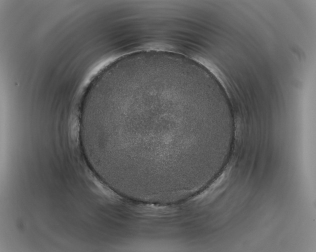 X0000115481115200911061212