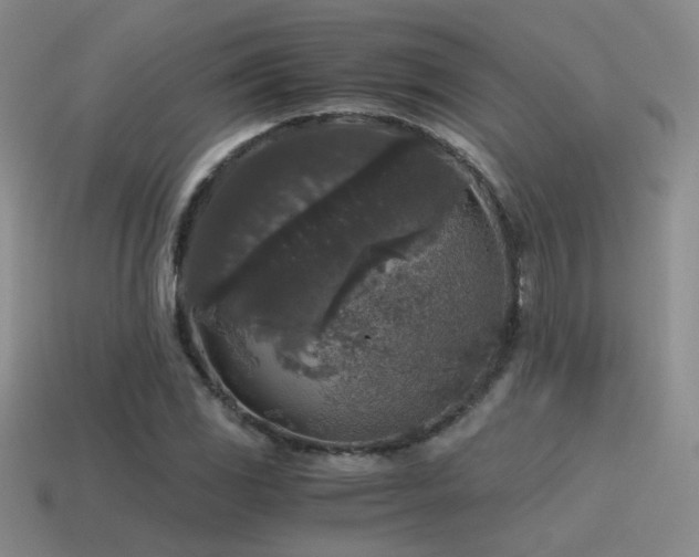 X0000115481117200911061212