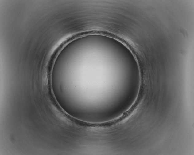 X0000115481118200911061212