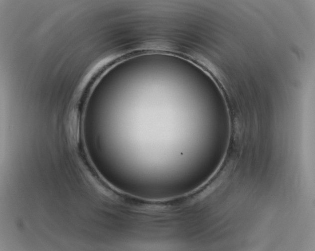 X0000115481123200911061212