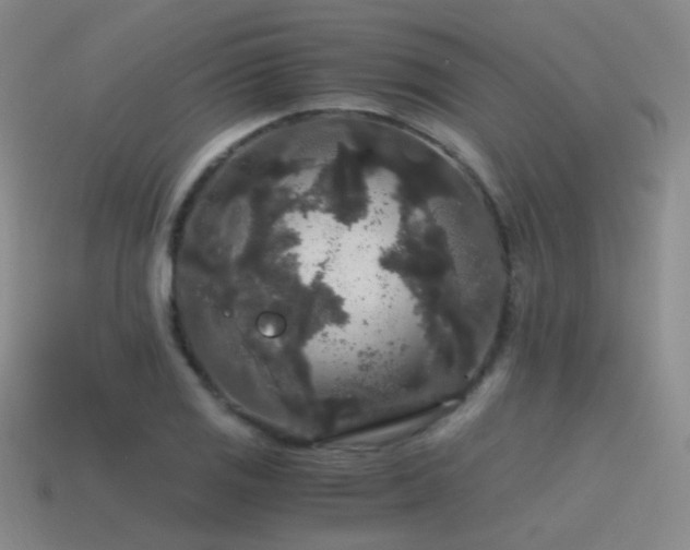 X0000115481125200911061212
