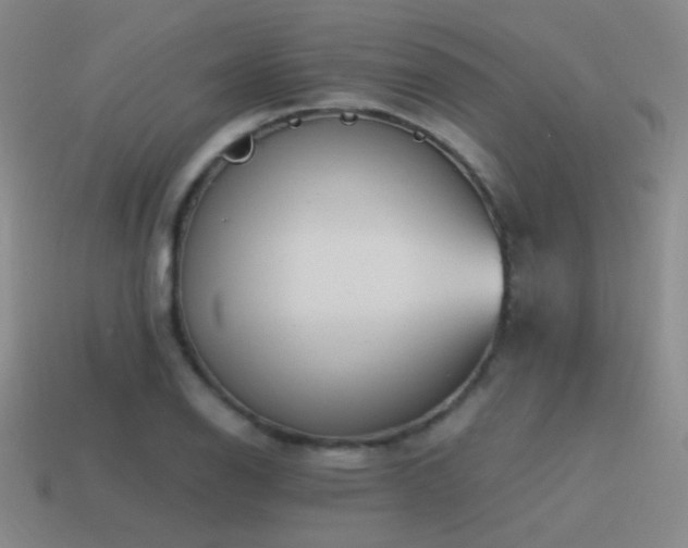 X0000115481126200911061212