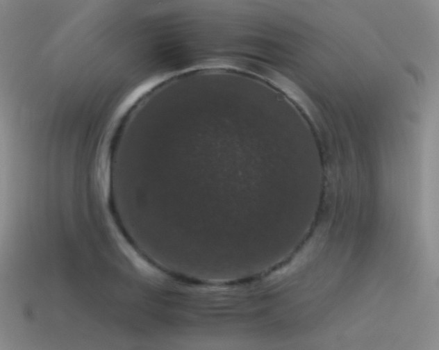 X0000115481127200911061212