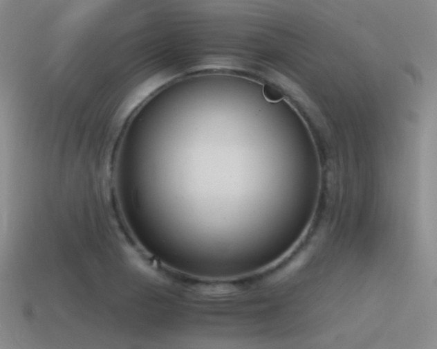 X0000115481129200911061212