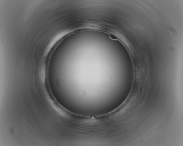 X0000115481131200911061212