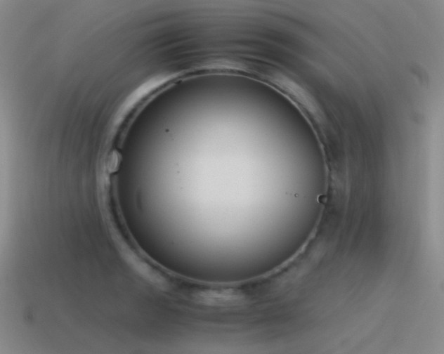X0000115481133200911061212