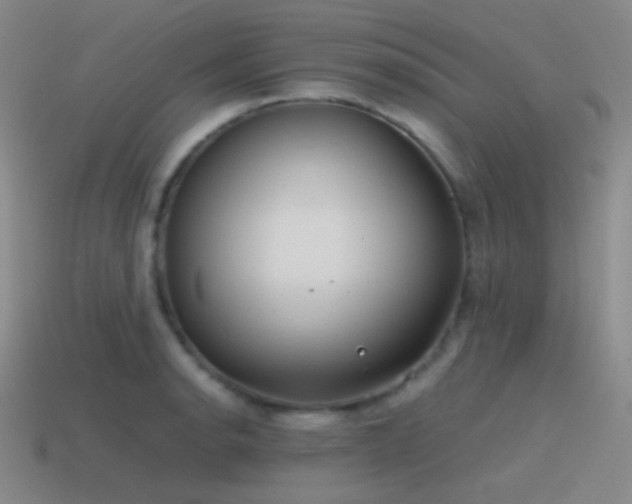 X0000115481134200911061212
