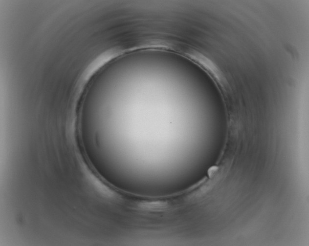 X0000115481135200911061212