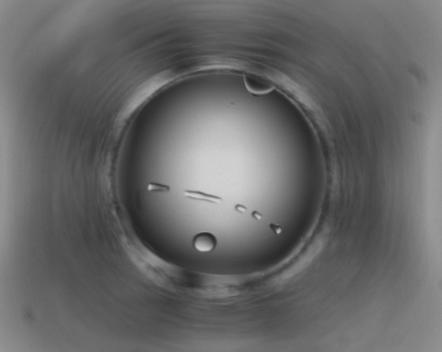 X0000115481137200911061212