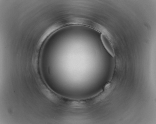 X0000115481138200911061212
