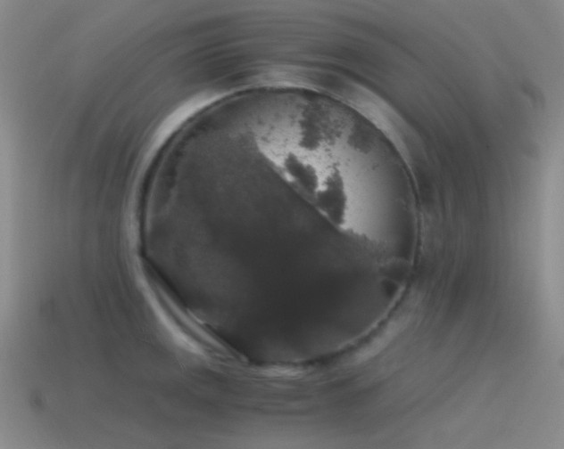 X0000115481141200911061212