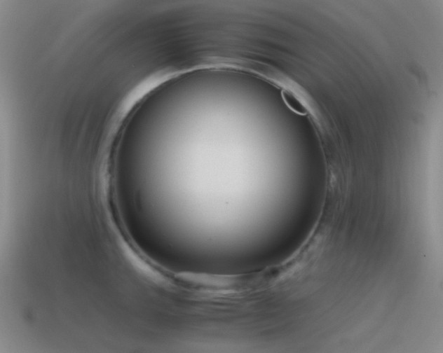 X0000115481143200911061212