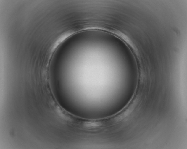 X0000115481145200911061212
