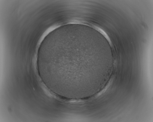 X0000115481146200911061212