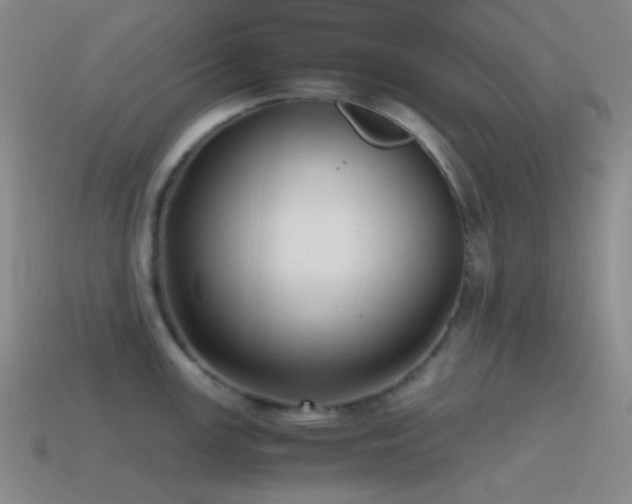 X0000115481147200911061212