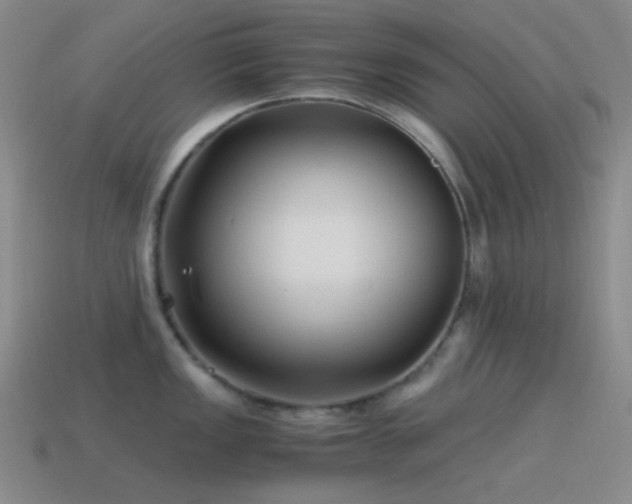 X0000115481149200911061212