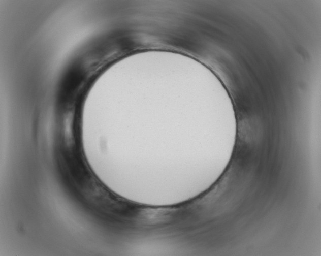X0000115481150200911061212